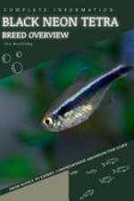 Black neon tetra - black,