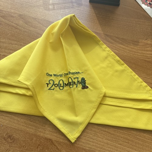 Scout scarf tolmers 2007 - scout, tolmers.
