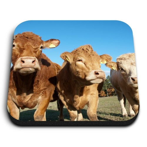 Square mdf magnets - magnets, brown