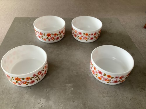 Arcopal france bowl - bowl, x