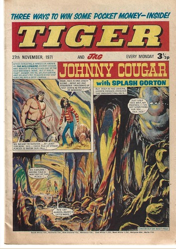 Tiger and jag - tiger,