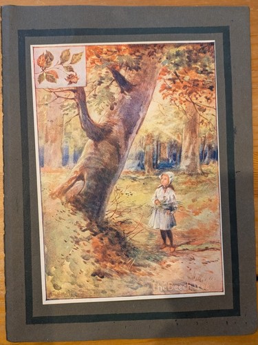 Vintage decorative print - decorative,