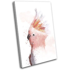 Pink Cockatoo Exotic Bird