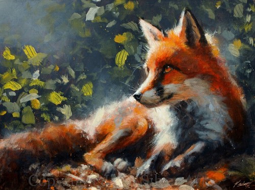Fox portrait fine - fine, art