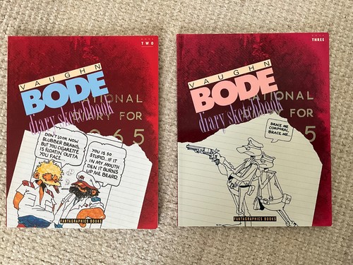 Vaughn bode diary sketchbooks - bode:,