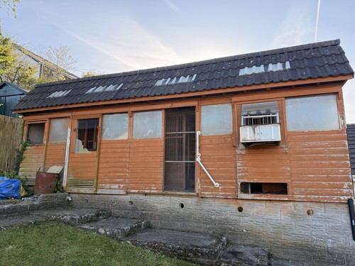 Sheds pigeon lofts - pigeon,