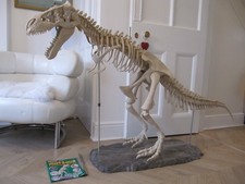 Large Dinosaur T Rex model