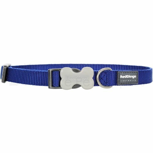 Red dingo collar lead dog - collar, or