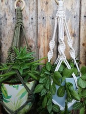 Macrame Plant Hanger, Plant