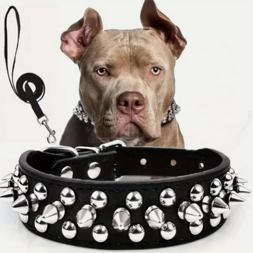 Spiked studded leather - studded, dog