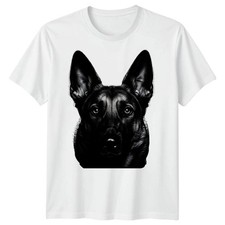 German Shepherd Dog Animals