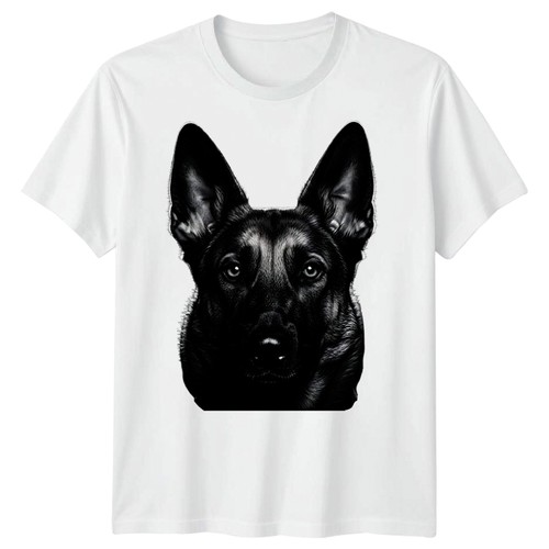 German shepherd dog animals - german,