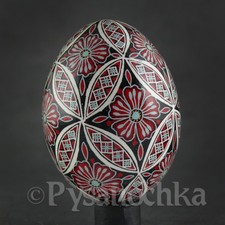 Real Ukrainian Pysanky Chicken