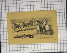 Original Old Antique Print Horse Cart Small Dogs Cuthbert Bradley