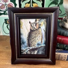 Vintage picture Print Long Eared Owl In Wooden Frame Forest/woodland decor