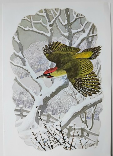 Charles tunnicliffe green - charles,