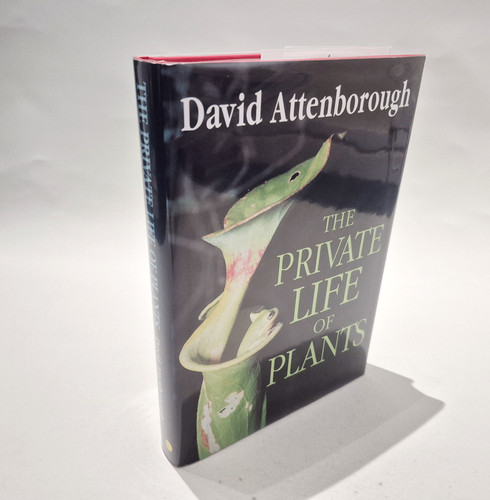 The private life plants - life,