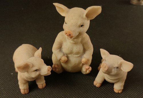 Pigs family leonardo - 3,