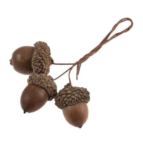 Natural acorn picks bunch of - natural,