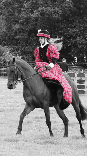 Side saddle costume size - saddle,