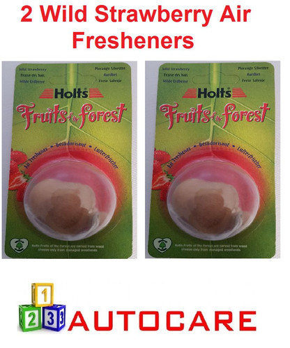 Holts fruits the forest - fruits, car