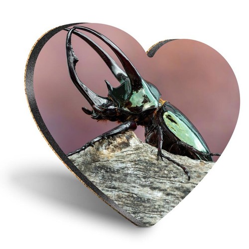Heart mdf coaster - atlas, beetle