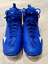 Mizuno Wave Momentum Mid