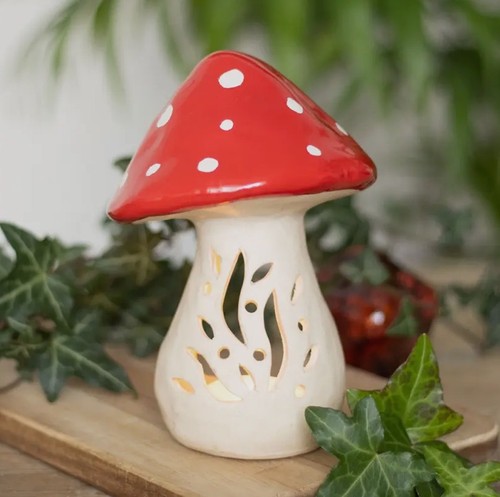 Toadstool mushroom tea - toadstool,