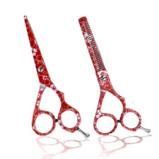 Professional Hairdresser