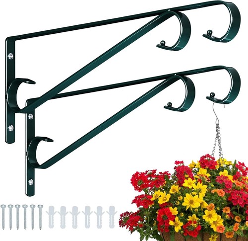 Plant hangers outdoor - plant,