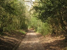 Photo A2 Footpath towards
