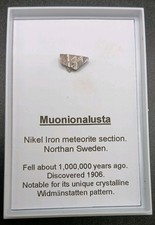 Muonionalusta meteorite slice