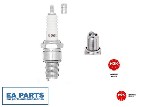 Spark plug for - plug,