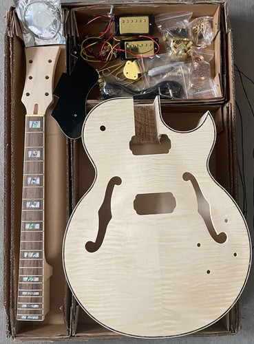 Diy electric guitar archtop - electric,