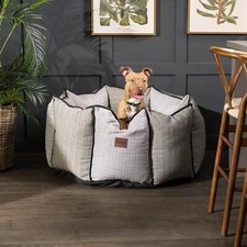 Bunty Pet Cat Dog Bed - Small