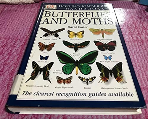 Butterflies and moths - butterflies,
