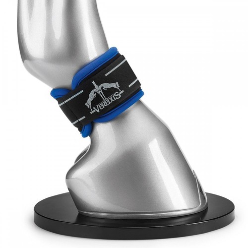 Veredus magnetik pro - magnetik,