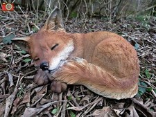 SLEEPING FOX CUB, Ultra Realistic & Lovely Home or Garden Ornament. Vivid Arts. 