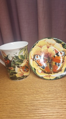 Royal kendal collection - kendal,