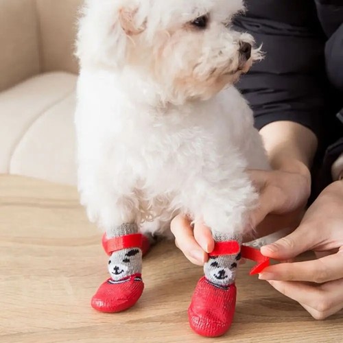 Dog shoes socks - dog,