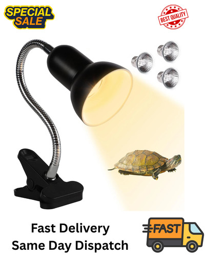Tortoise heat lamp with - with, 2