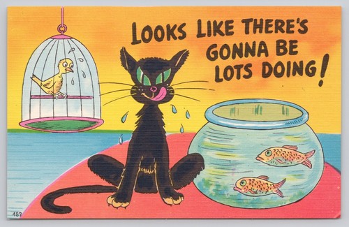 Humorous black cat bird - black,