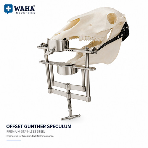 Offset gunther mouth - offset, speculum