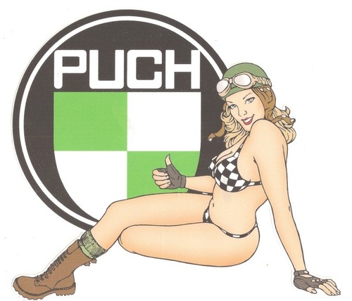 Puch left pin - left,
