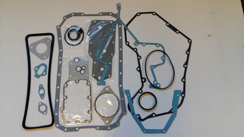 Replacement bottom gasket - replacement,