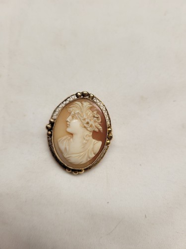 Vintage antique chonch shell - vintage,