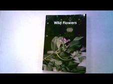 WILD FLOWERS - N/A