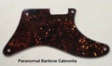 Pickguard / backplate for