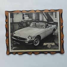 Mgb golden anniversary sebring - mgb,