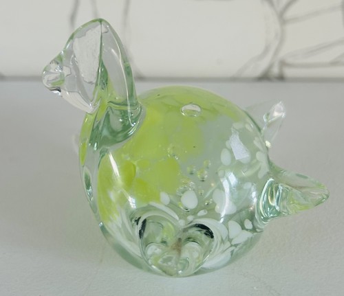 Light green turtle maltese - green,